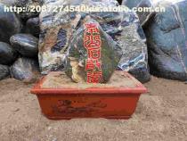 【泰山石敢當(dāng)】盆裝,價格,廠家,圖片,供應(yīng)商,其他石材石料,泰安市泰山區(qū)五尊石材銷售中心 - 產(chǎn)品庫 - 阿土伯交易網(wǎng)