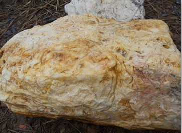 優質黃蠟石 園林景觀石 靈璧石 刻字石 價格優惠,優質黃蠟石 園林景觀石 靈璧石 刻字石 價格優惠生產廠家,優質黃蠟石 園林景觀石 靈璧石 刻字石 價格優惠價格